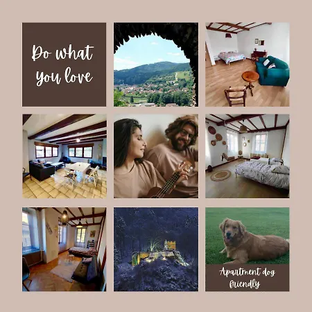 Gite Chez Lulu Proche Du Chateau De *